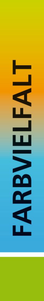 Produktbild C+P Flügeltürschrank 7035/7035 1950x930x400mm bild 3