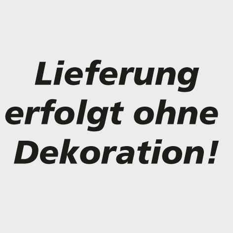 Produktbild TTS Einzeltür Trennwandsystem Vario BxH 1000x2200 mm RAL 5010 Drahtgitter bild 2