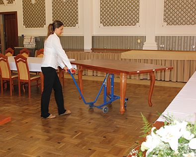 Produktbild Variofit Tisch Heberoller Traglast 100kg bild 5