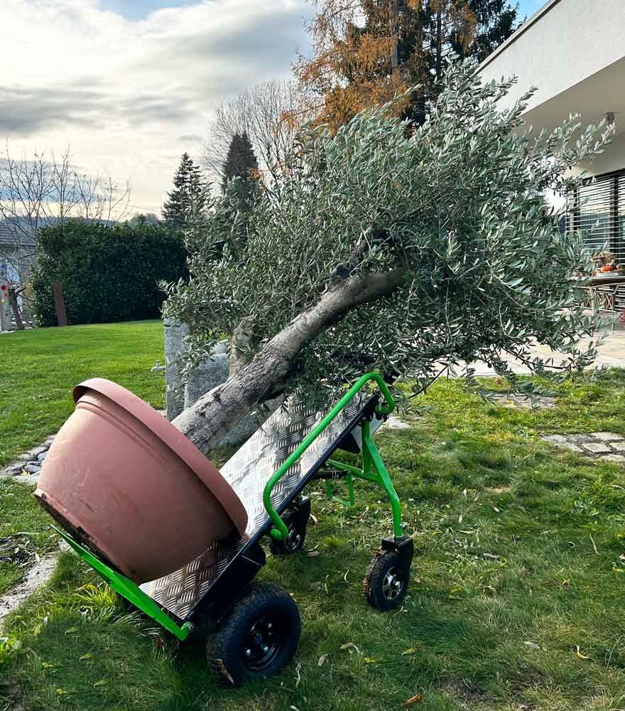 Produktbild Zipper Elektro Sackkarre Tragkraft bis 260 kg bild 8