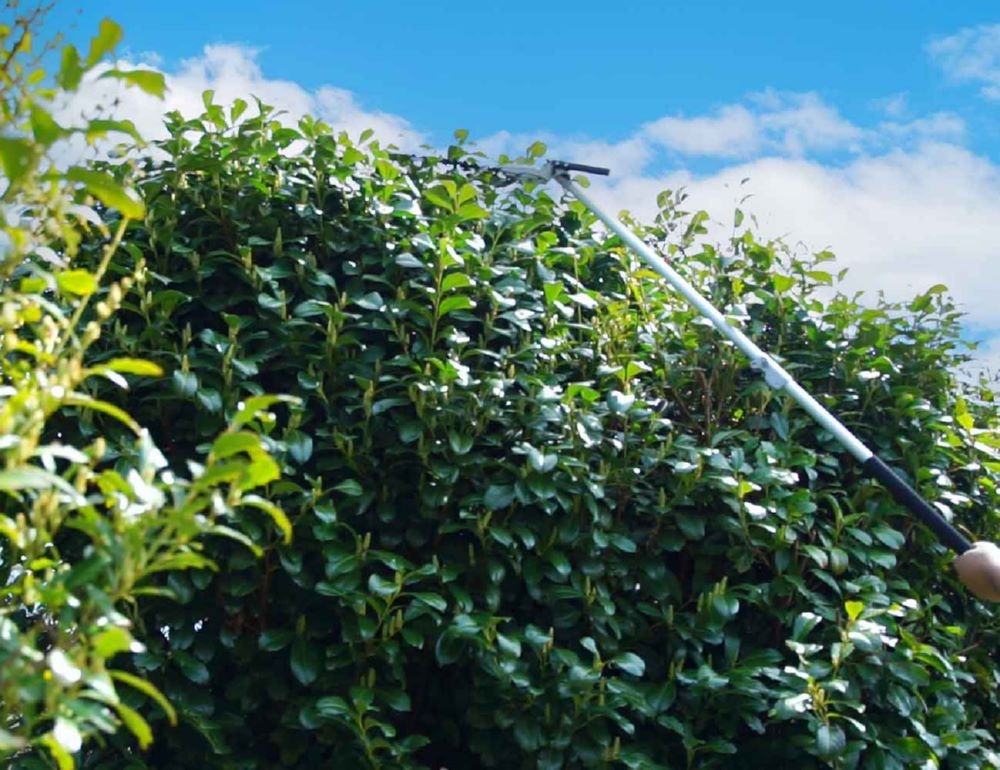 Produktbild Zipper Gartenpflege Set mit 3 Aufsetzköpfe und Verlängerungen bild 9